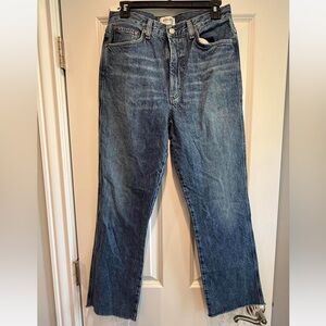 NWT- Agolde Classic Blue Straight Leg Jeans